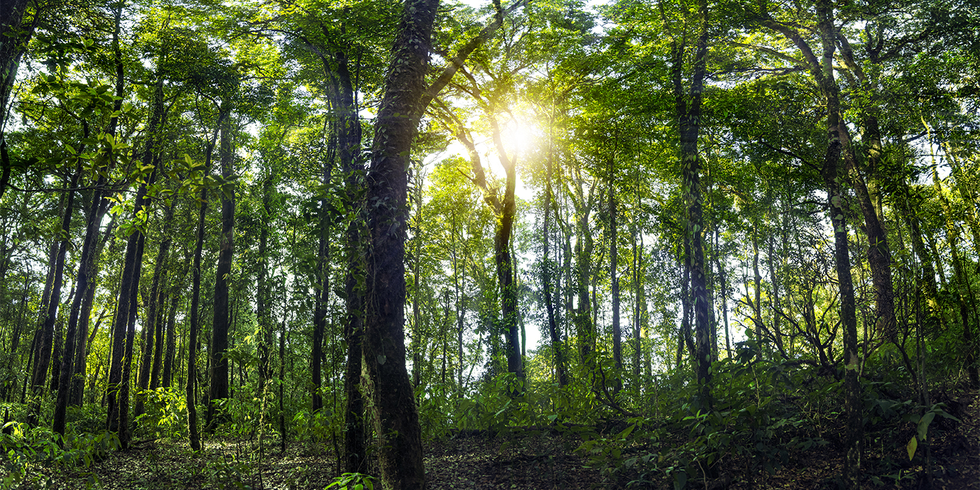 Sustainable Transformation: A New Imperative for IT Leaders
