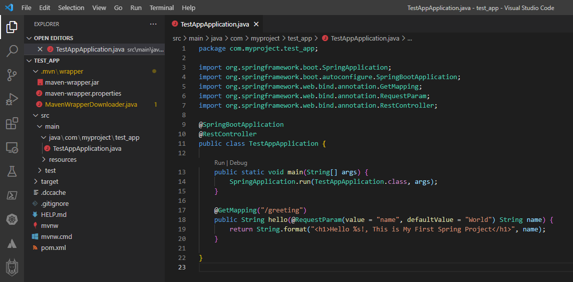 Code Editor