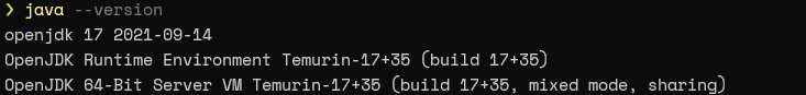 OpenJDK console