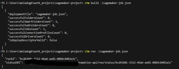 Figure 4. Launching Amazon SageMaker job