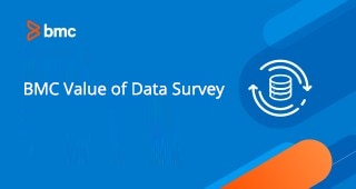 BMC Value of Data Survey