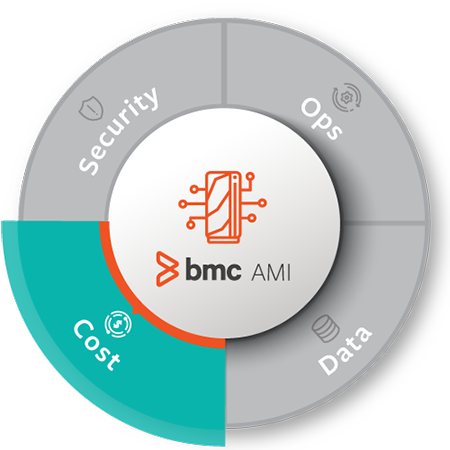 BMC AMI Capacity and Cost