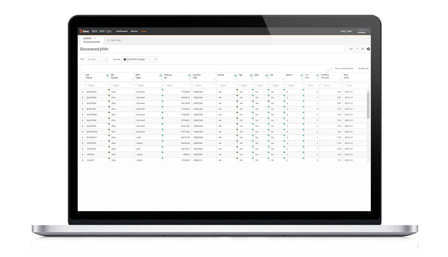 Visibility into JVMs